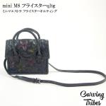 mini MS tCX^[qltg  <br>obO <br>J[rOgCuX<br>Carving Tribes <br>yJ[rOV[Yz