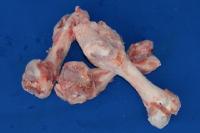 [���Y] �؍��i���񂱂j�@10����