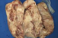 �y���i�����K�ǁz�y���z�ϓ��i�z[���Y��] �①�@�n���~�@�P���@�q1kg������4725�~�i�ō��j�r�y�d�ʕs���2.5�`4.5�����j�z