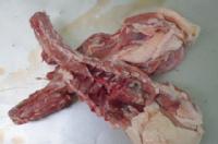 ���Y �{�K���@5k���@158�~/kg(�ō�)